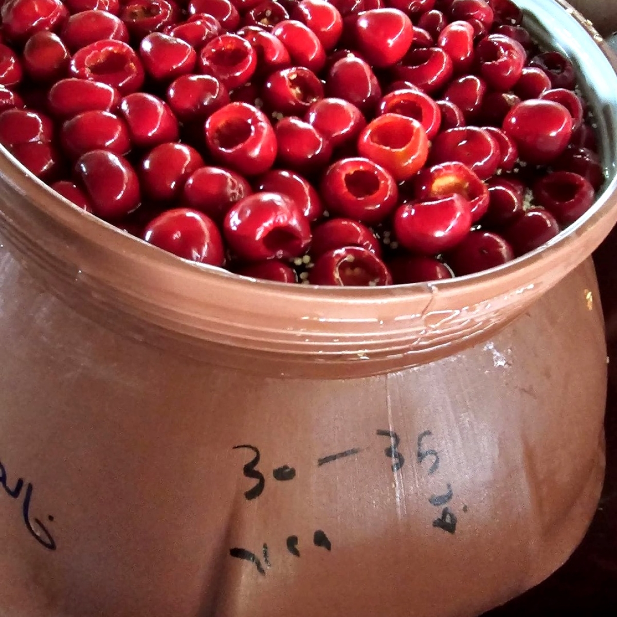 فلفل كريز بدون عنق