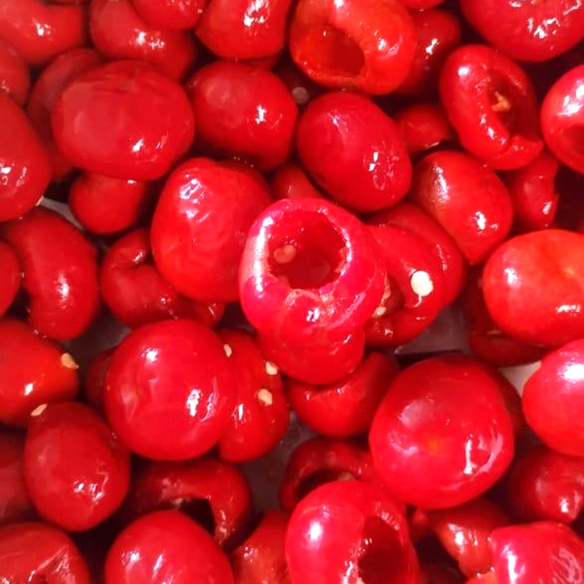 فلفل كريز بدون عنق