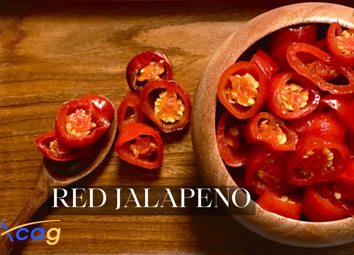 فلفل هلابينو احمر شرايح