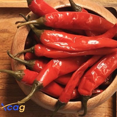  فلفل حبيبه كامل