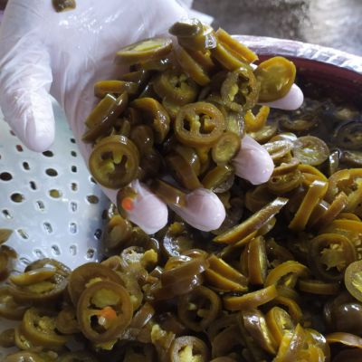 Green Jalapeno Pepper 