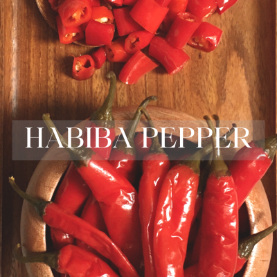 Egyptian Red Habiba Pepper