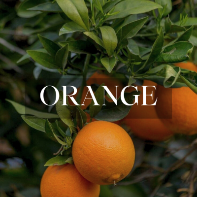 برتقال