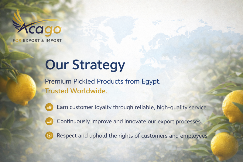 الاستراتيجية